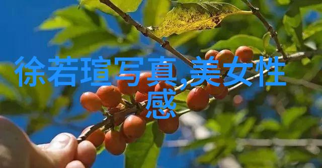 画卷上的天地绘声绘影的自然之美