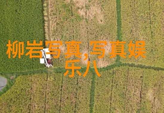 头像图片2022最火爆最好看我来告诉你这些是网友们都在疯狂点赞的超级美