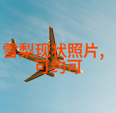 蜜桃成熟时的角色塑造从小鲜花到满怀希望的女性形象