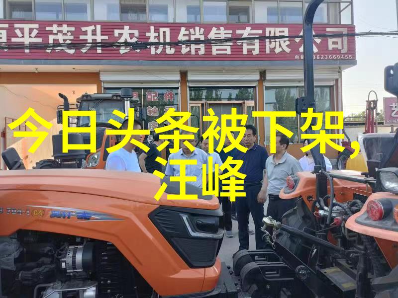 电影明星 - 舒淇一组黑白写真曝光时尚界的静态诗篇
