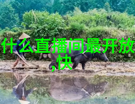 探究11月22日天体位置及其对个人性格特征的影响星座学研究与实证分析