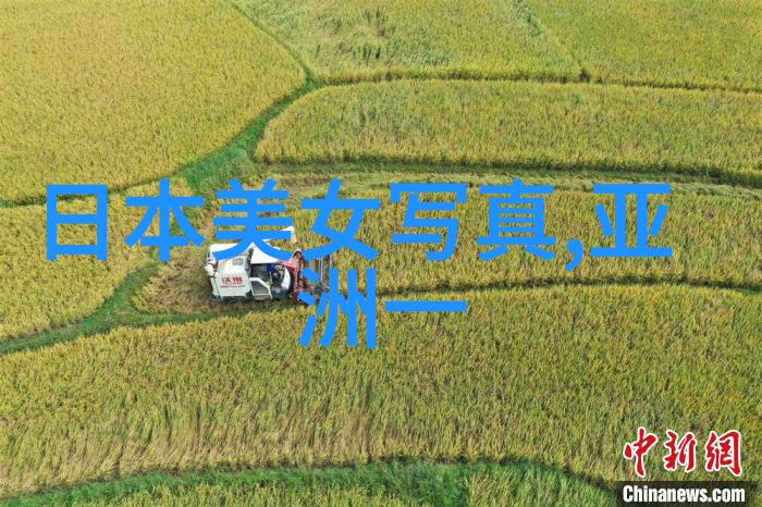 谭卓披风马尾齐整助阵阿丽塔自曝是资深科幻迷3分钟视频揭秘bci标准技术应用于未来科技物品