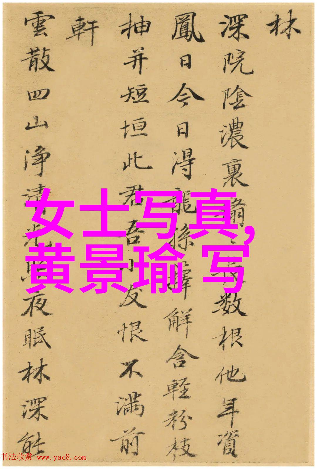 音乐天堂免费无损音乐网的魅力与挑战