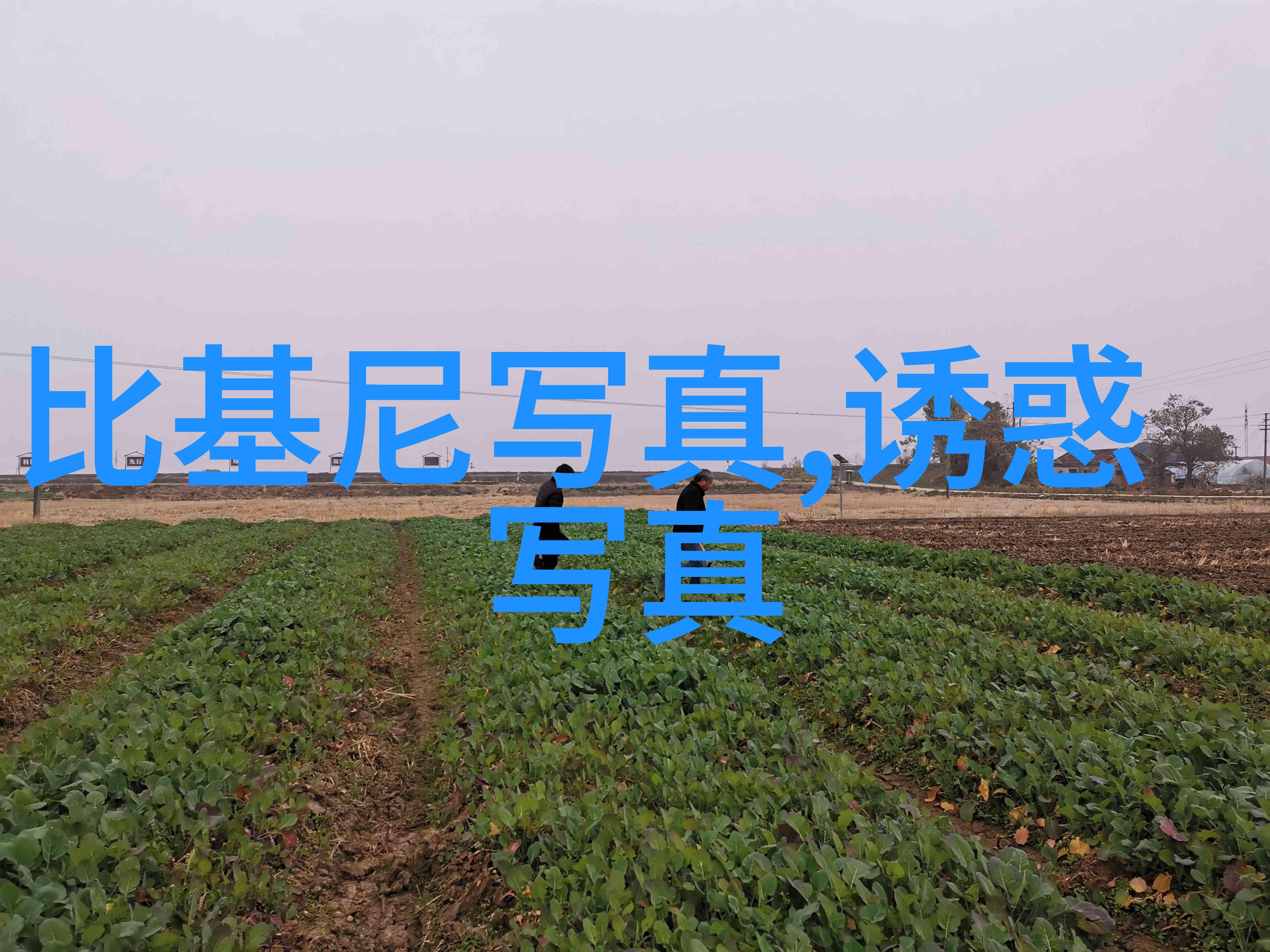 情感的海洋我在其中漂泊和沉淀