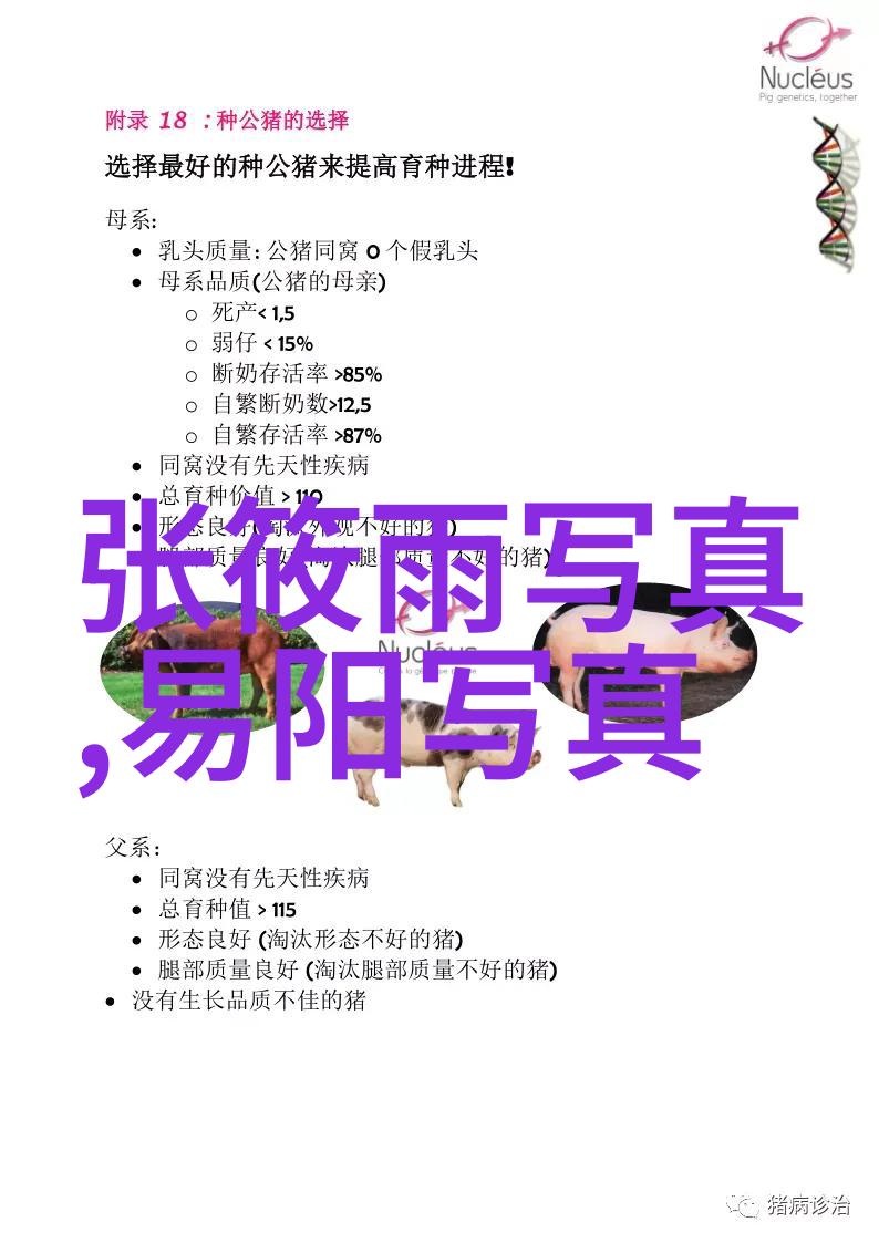 一边亲着一面膜下韩剧网我是如何在美妆间度过每个周末的