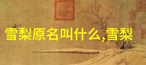 大陆对台何时开战-和平还是战争解析两岸关系的紧张态势与冲突可能
