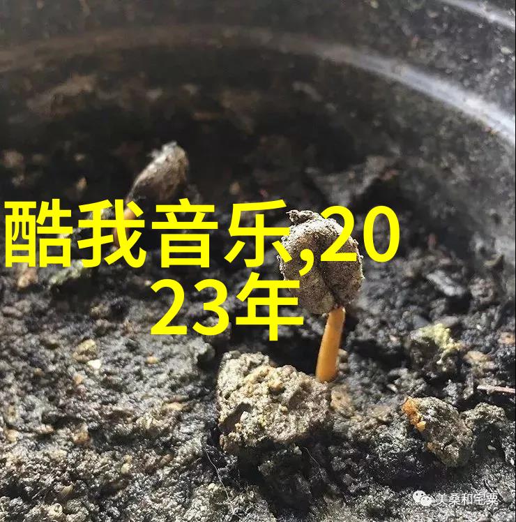 幕后花开神马影视的故事与梦想