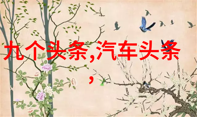 青春风华美少年学社的光辉篇章