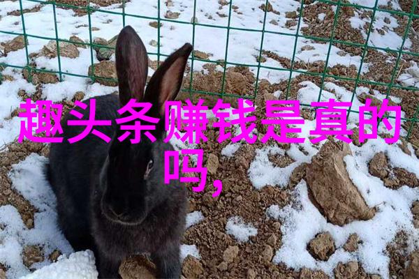 少爷太胡来 - 少爷的疯狂冒险从宫廷到江湖的奇遇记