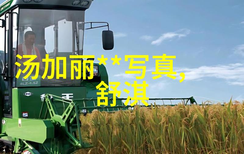 黑儒传简介揭秘古代武林的阴影与光明