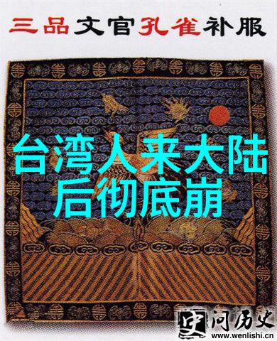 智能相似识别系统图像世界中的双胞胎探索