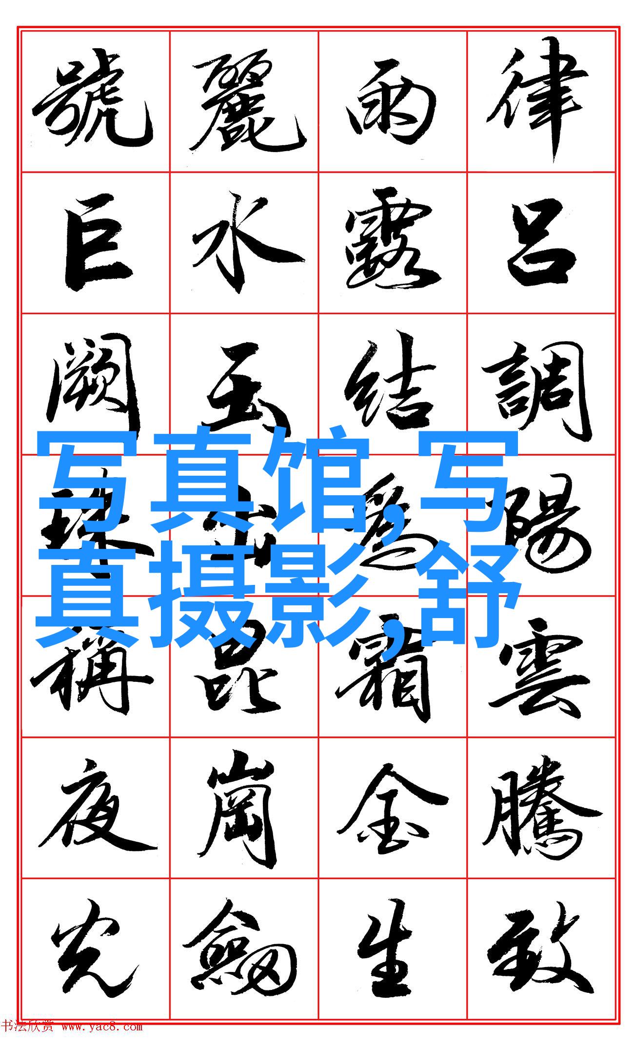 左耳电视剧探索时空的奇幻之旅