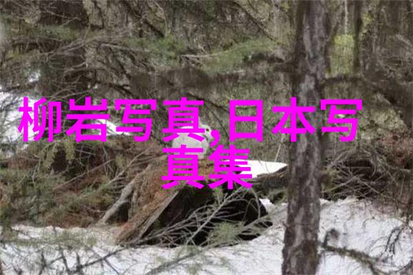 一夜爆红的网络红人-从无名到网红一位偶然成为焦点的故事