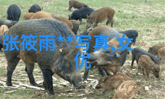 奥本海默电影里的智者与孤独