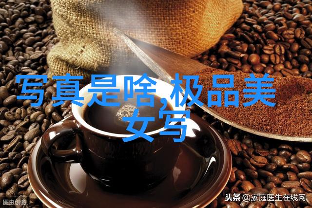 明星网我的偶像日记