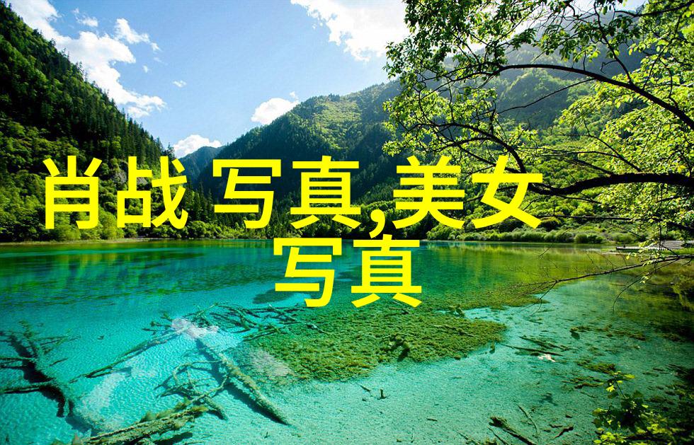 今日头条最新版本更新今日头条软件更新指南