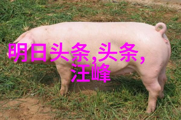 5144数字的背影与未来的征程