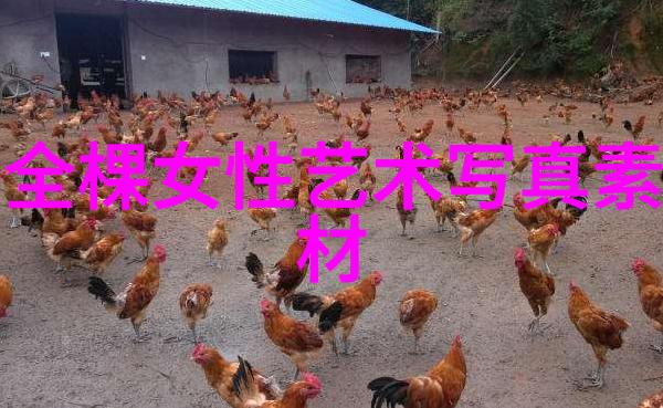 在人人影视的海洋里你会遇到什么样的故事