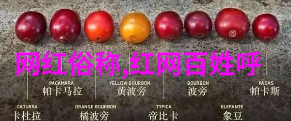 跨海情深台湾大陆的桥梁与隔阂