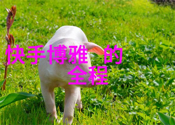 泡泡影视对现实生活中有什么启示和影响