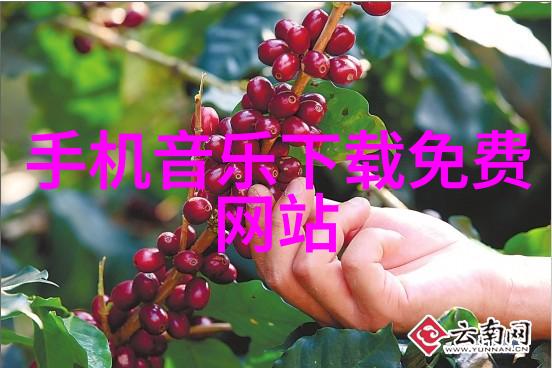 上海国际时尚中心孙佳雨的猫耳发型优雅迷人展现摩登新风尚