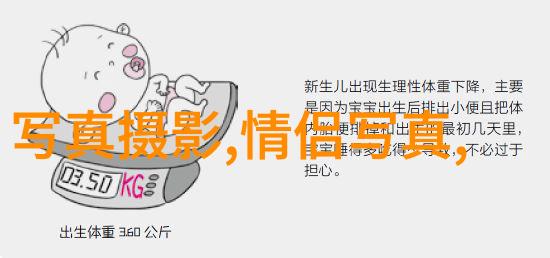图片宝库视觉盛宴的无限馈赠