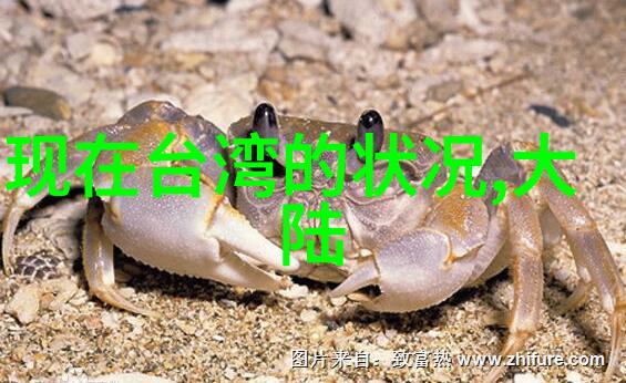 网红排名前十收入的马保国如今风靡全球他的火爆原因令人瞩目背后隐藏着怎样的个人资料和家庭背景呢