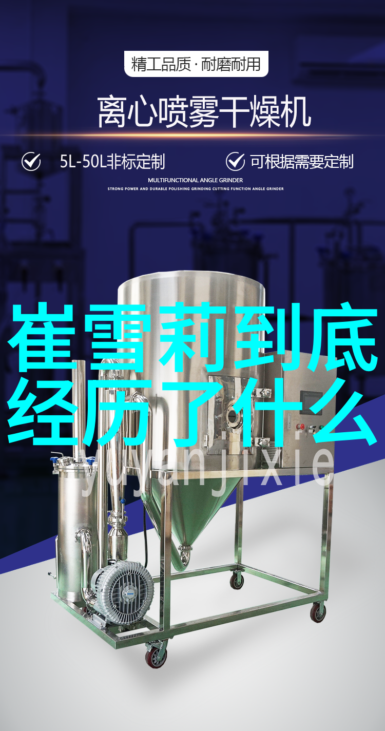 娱乐星光下的爱情传奇