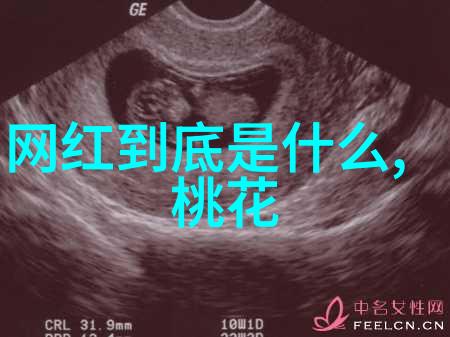 拍写真我是如何在公园里偷偷摸摸拍到一张超美的风景照片的