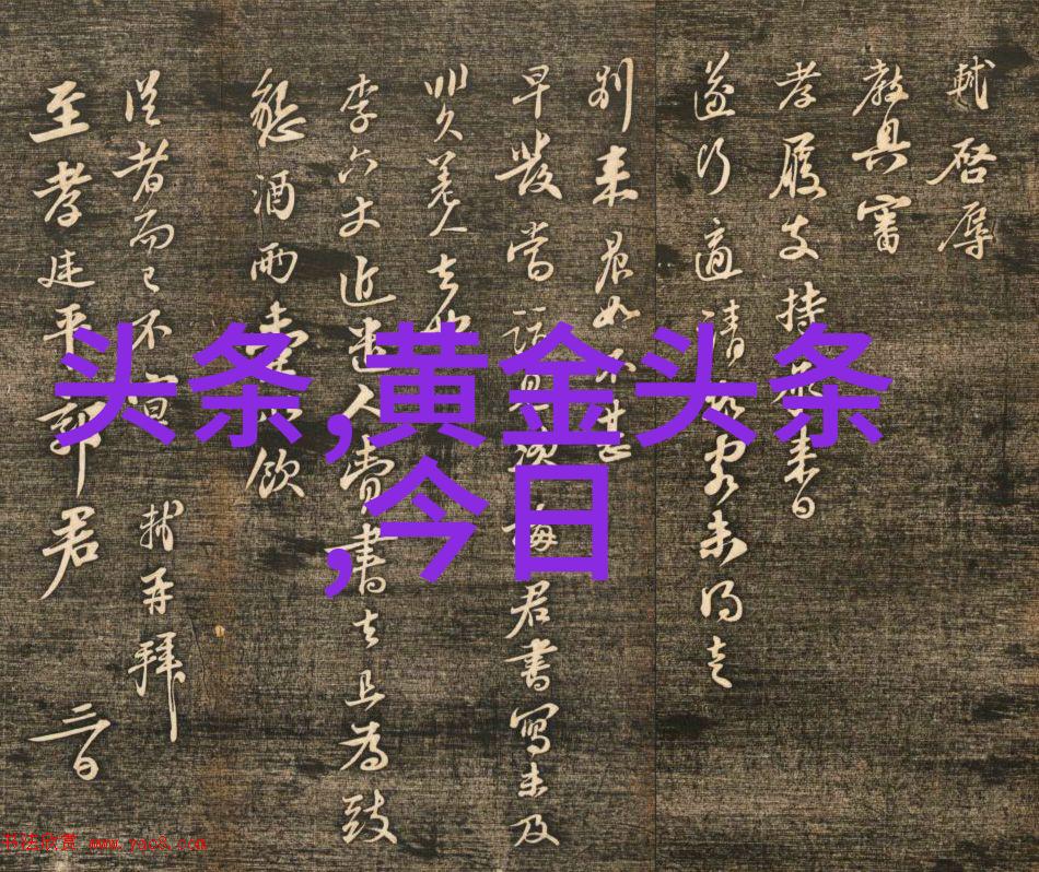 娱乐圈新星爆红小明亮相电影首发式引争议