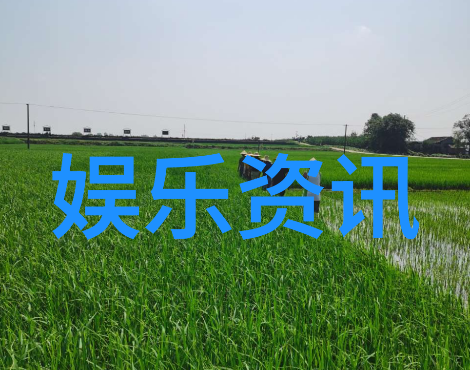 银河娱乐集团的人才培养体系如何孵化下一个巨星