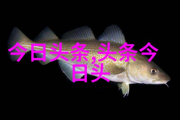 最新综艺节目-娱乐风暴爆笑挑战与明星秀