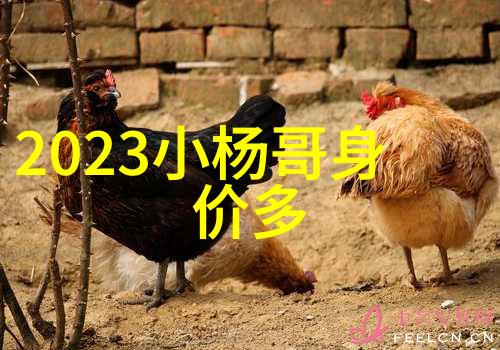 算命生辰八字免费测试精准解析命运洞悉人生