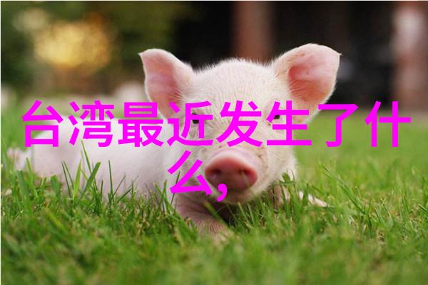 新西游记综艺探险奇幻之旅