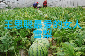 你知道吗单身狗的生活就像一张没有好看的自然风景图片那种寂寞和空虚就像是冬日里没有暖阳的山峦冷得让人透
