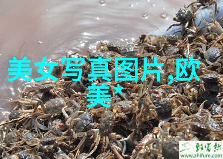 追逐快乐的虚拟世界贪玩娱乐背后的心理与社会影响