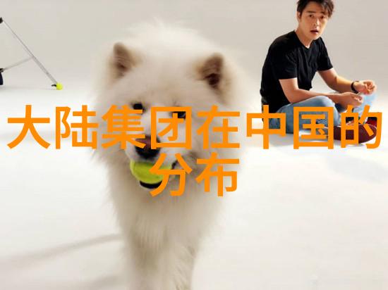 央视主持人徐娜不是逃兵