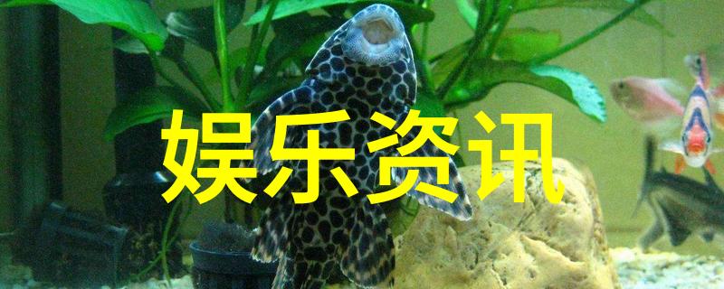 影视工厂-幕后巨轮揭秘影视工业的生产线与传奇
