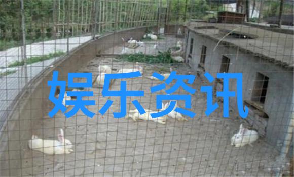 孙圻峻空降酷狗直播现场连线创造营小伙伴探讨最流行网络歌曲的魅力