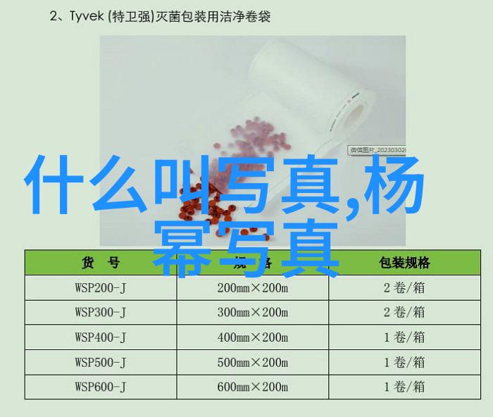 情侣写真-甜蜜时刻捕捉爱的每一个瞬间