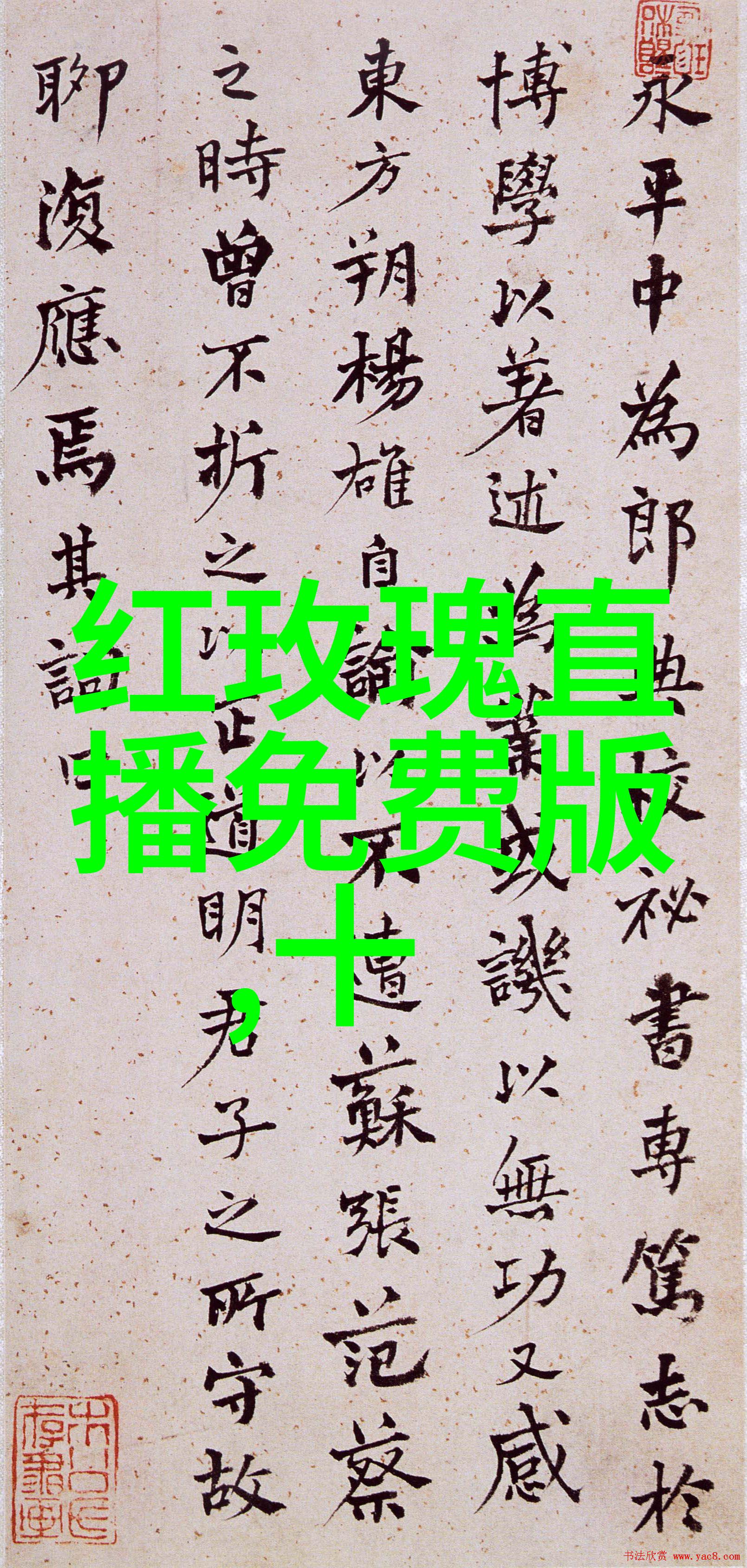 现在就出发综艺盛宴免费观看完整版别错过开启之旅的第一步
