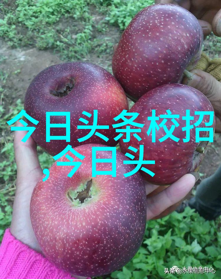 在无尽的宇宙中哪一幅画面最能成为探索未知的背景图呢