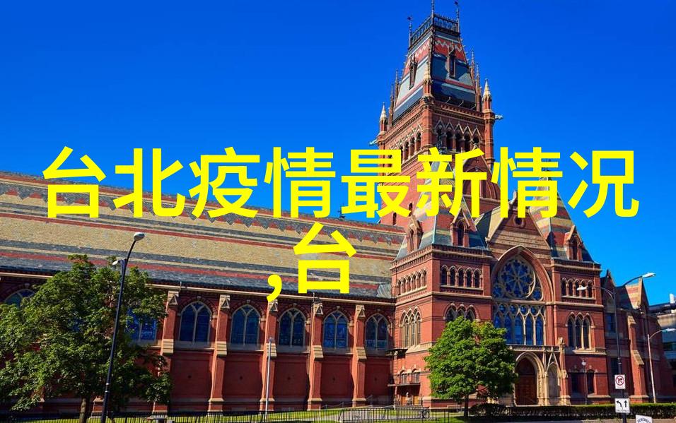 遇见你真好综艺交往心理与社交互动的深度探究