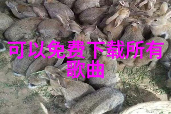 在最美的时光综艺中是否有可能遇见真正的自己
