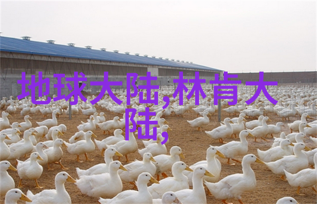 丝袜写真学探索身体表达与视觉文化的交汇点