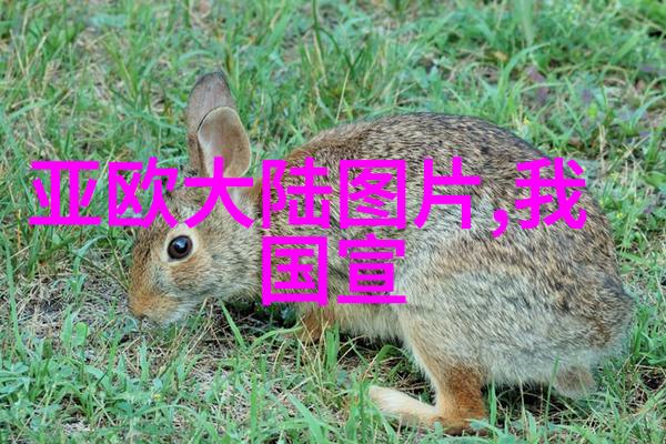 俄罗斯答应归还中国领土我亲眼看到了历史的转折俄罗斯的大礼