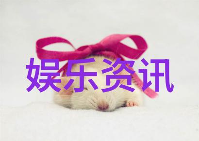 星空影视聚焦颜值焦虑电影戏如人生京城启动会社会关注
