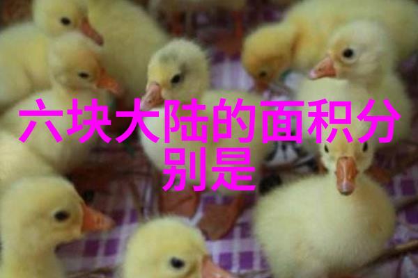 妈妈的朋友带来的温馨记忆一碗诱人的巴巴鱼汤饭