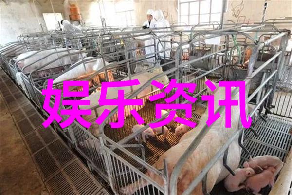 情人的你永远的守护者