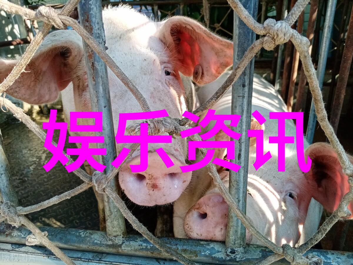 音符的舞动免费旋律的安装